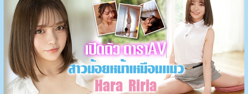 Hara Riria เปิดตัว ดาราAV สาวหน้าแมวมือใหม่