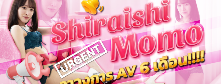 Shiraishi Momo ดาราเอวี คลิปโป้